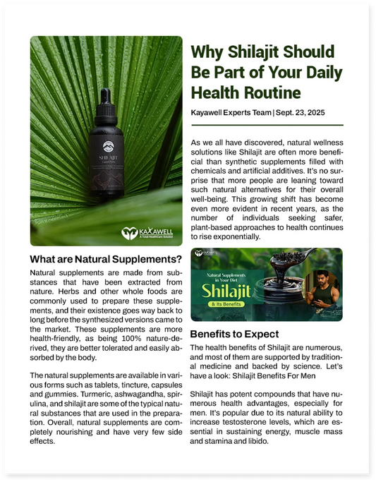 Natural Supplements in Your Diet: Shilajit and Its Benefits