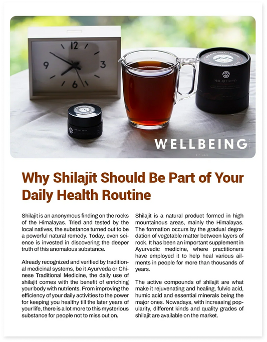 Why Shilajit Should Be Part of Your Daily Health Routine