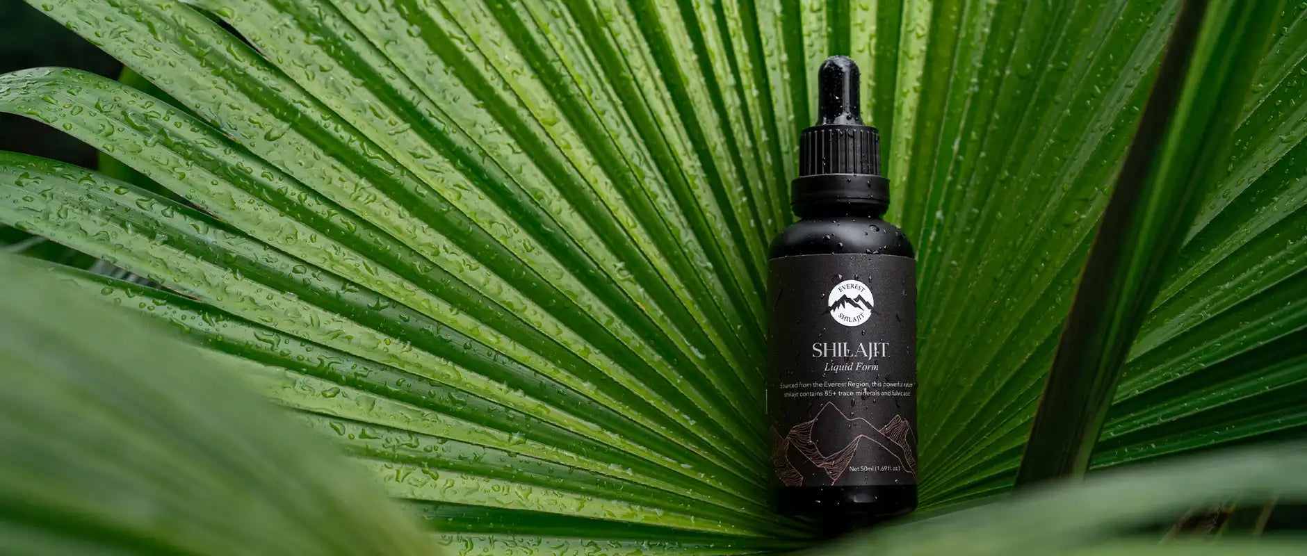 Shilajit's Antifungal Properties: Facts & Findings