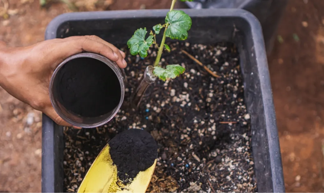 shilajit-for-plants