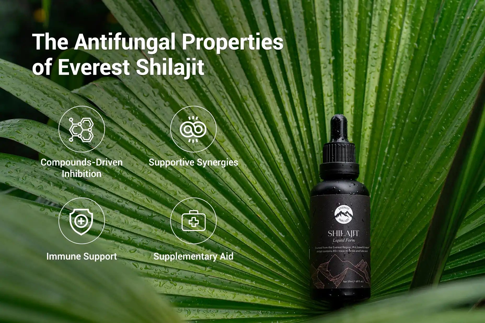 antifungal-properties-of-shilajit