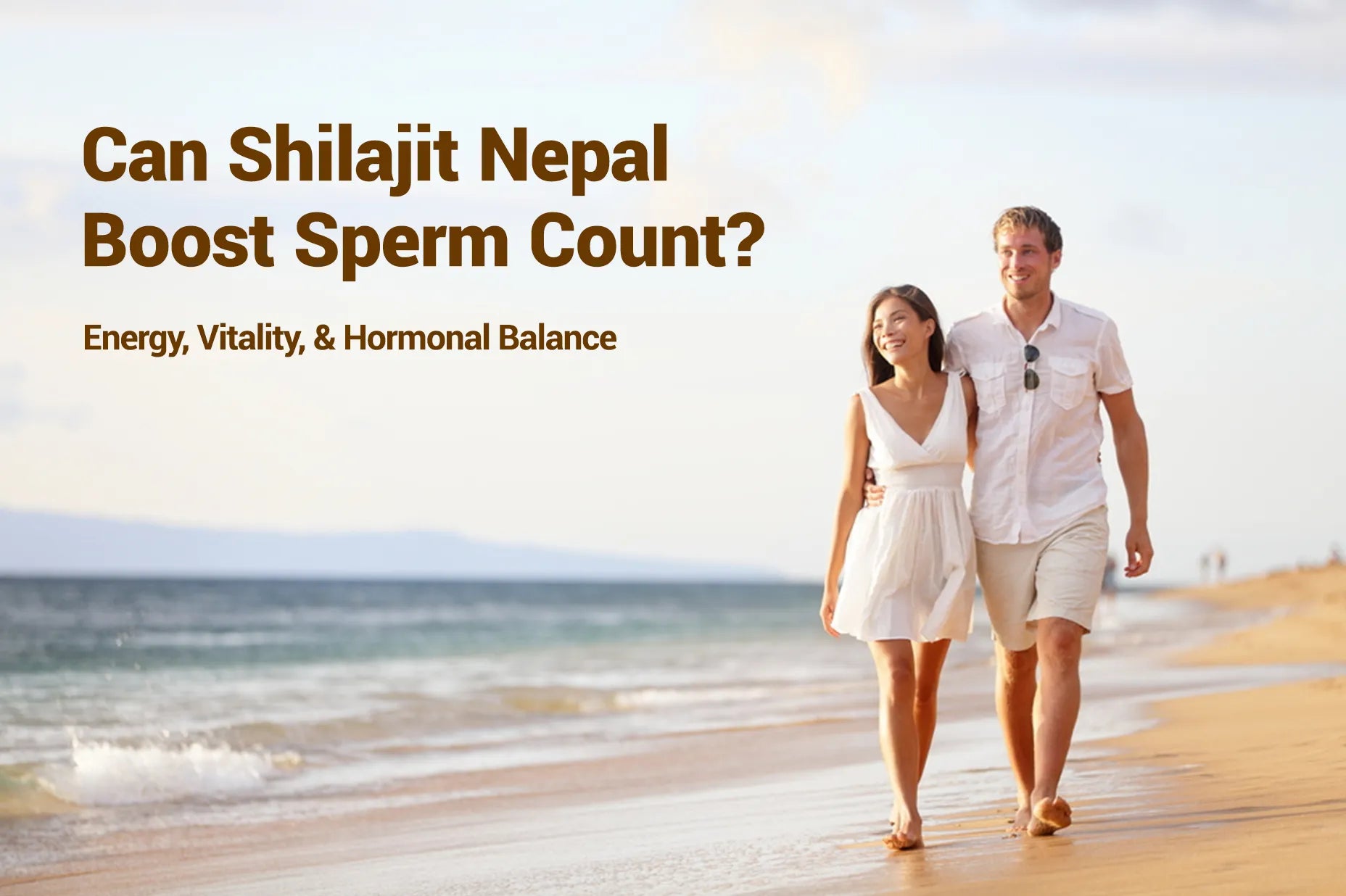 does-shilajit-increase-sperm-count