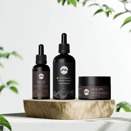 Balancing Stress and Well-Being: Shilajit for a Busy Life