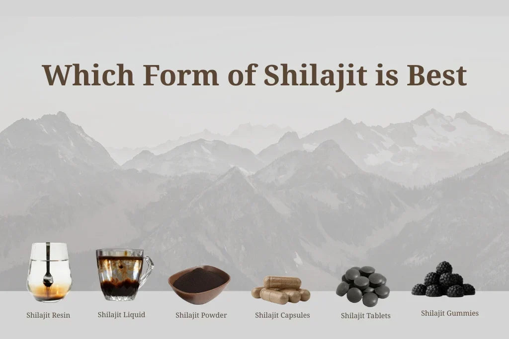 which form of shilajit is best to take 