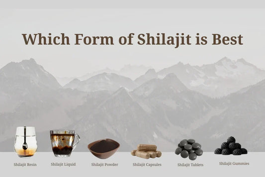 which form of shilajit is best to take 