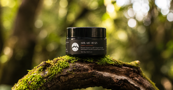 Everest Shilajit resin jar placed on moss-covered wood in a natural forest setting.