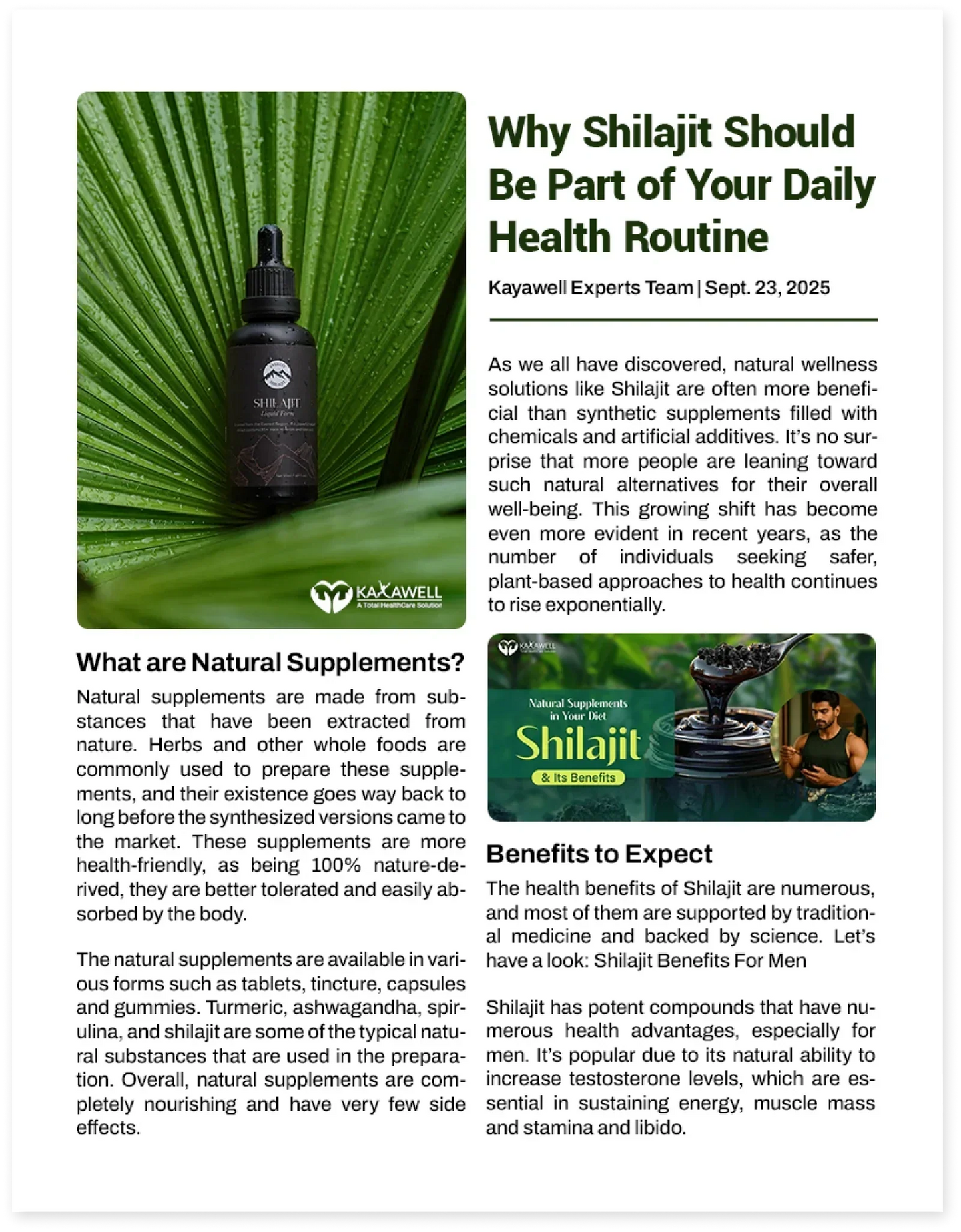 Natural Supplements in Your Diet: Shilajit and Its Benefits