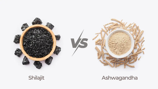 Shilajit vs Ashwagandha: 12 Key Differences You Must Know