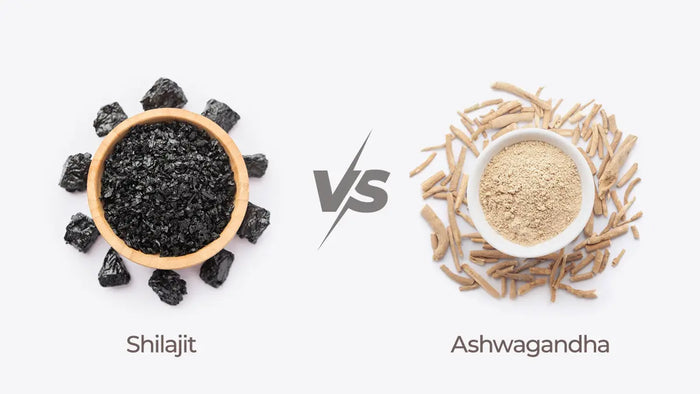 Shilajit vs Ashwagandha: 12 Key Differences You Must Know