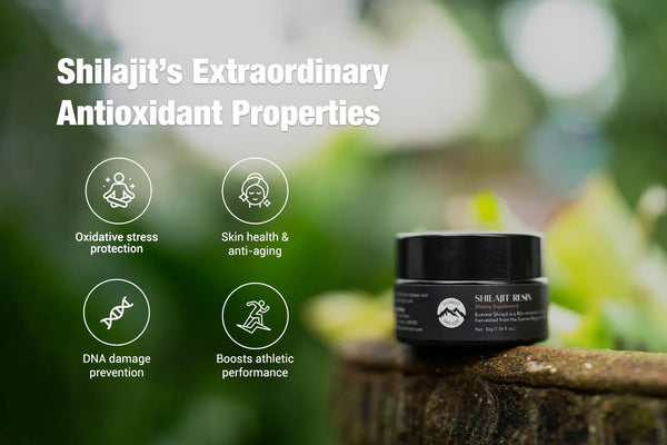 shilajit antioxidant properties