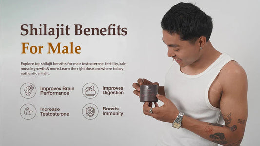 shilajit benefits for male