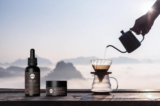 shilajit in winter 