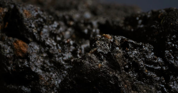 Raw Himalayan Shilajit resin showing its dark, glossy, mineral-rich natural texture.