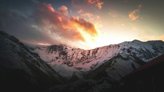 Which Country Has the Best Shilajit