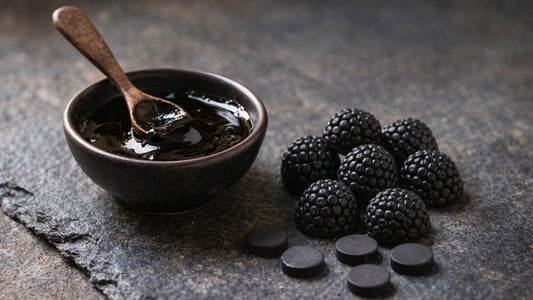 best shilajit extract