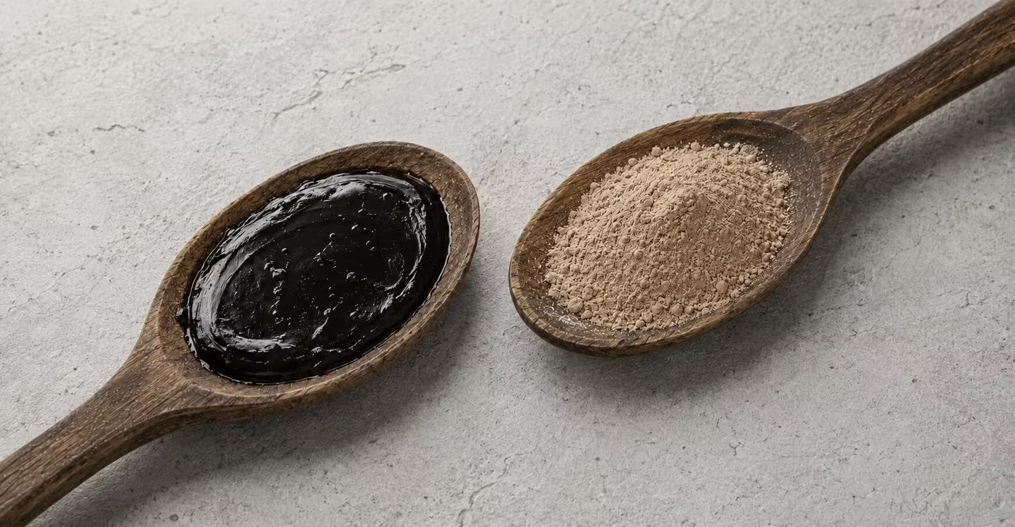 Shilajit resin and boron powder displayed in separate wooden spoons to illustrate the natural boron content found in shilajit