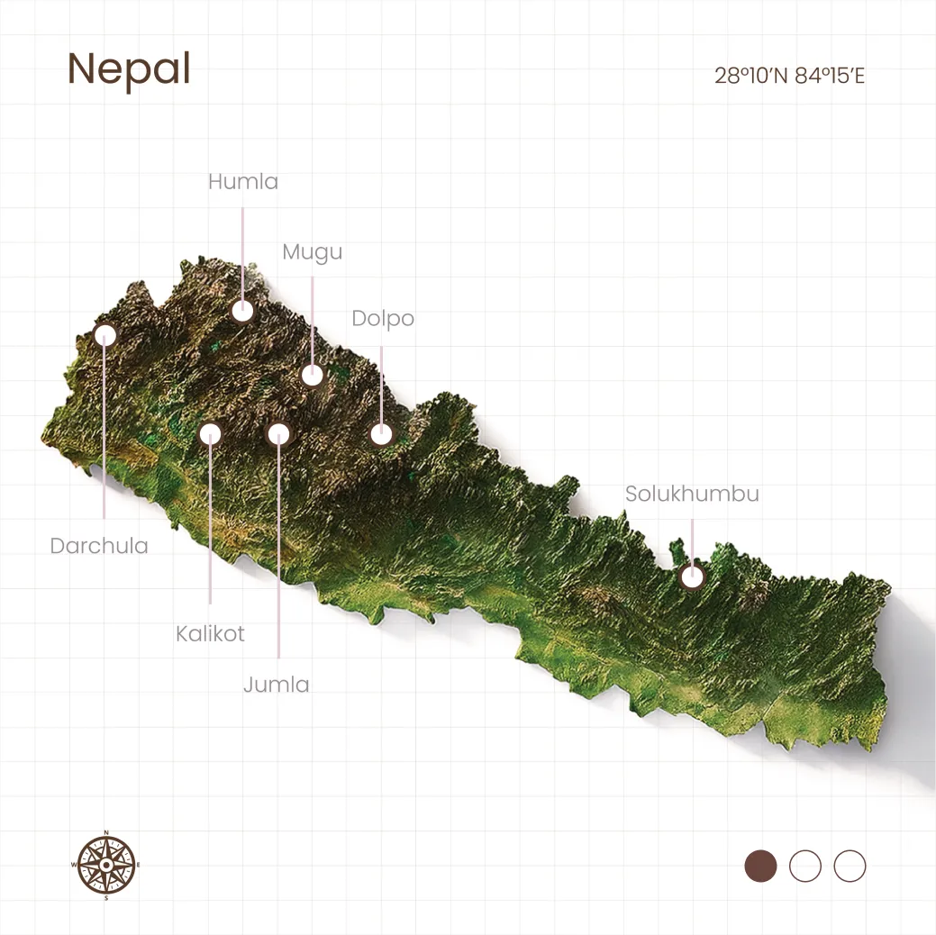 Everest Shilajit