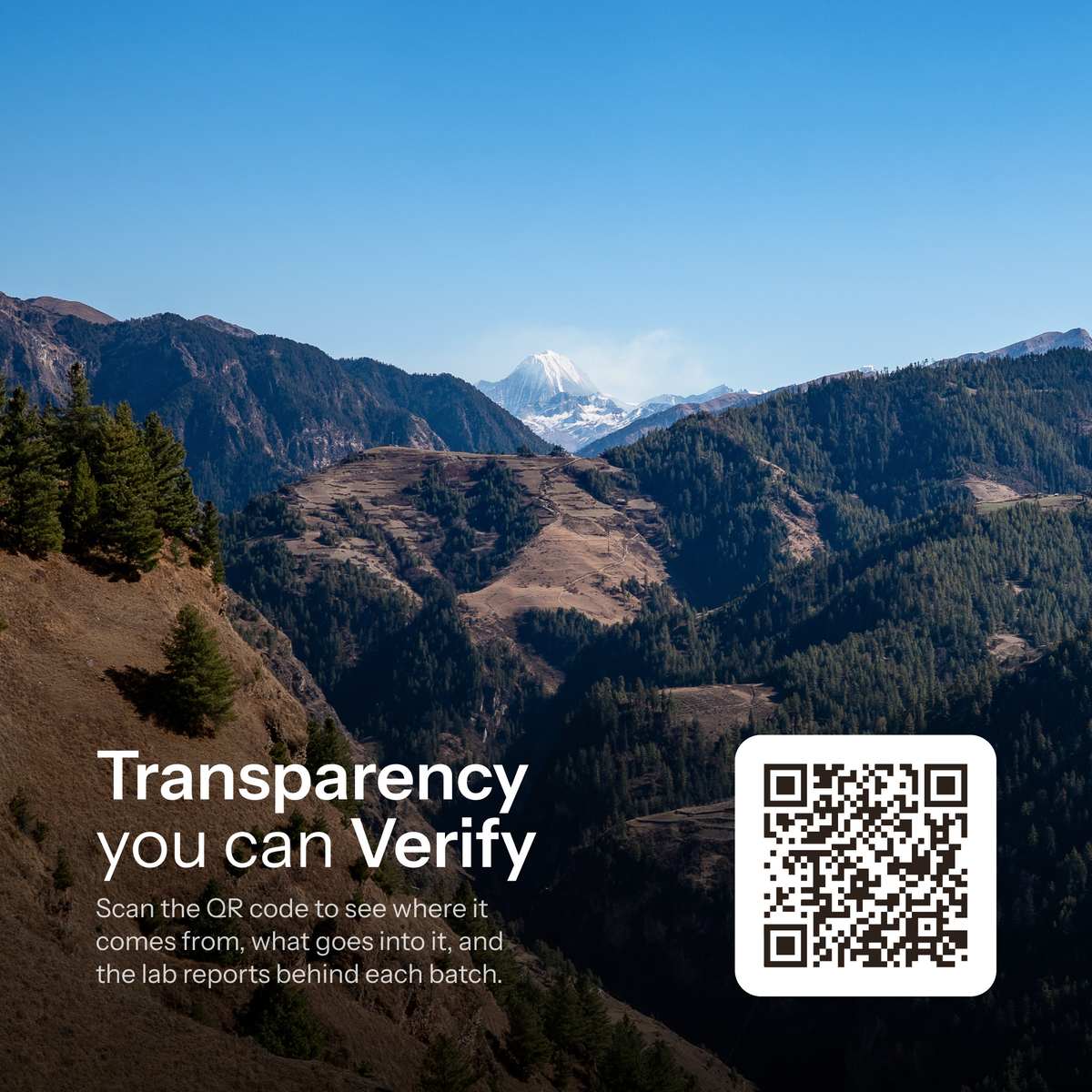A Nepal mountain landscape with a QR code for Everest Shilajit liquid batch origin and lab reports.