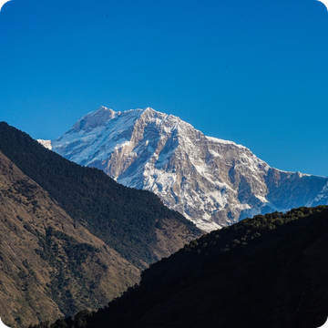 files/high_altitude_purity_1.webp